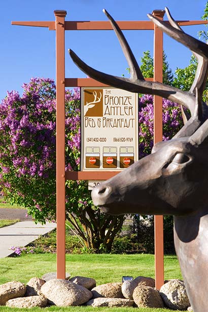 Bronze Antler Bed and Breakfast sign